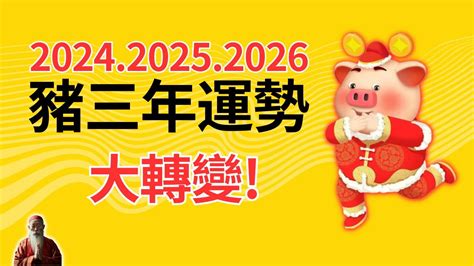 屬豬 幸運色|【豬幸運色】屬豬者2024「大吉幸運色」大公開！增強運勢、趨。